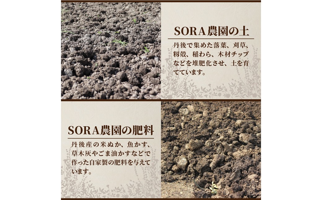 【先行予約11月下旬～順次発送】SORA農園の有機にんじん5kg　有機野菜 有機農園 オーガニックファーム オーガニック野菜 有機栽培 人参 にんじん ニンジン キャロット 冬野菜