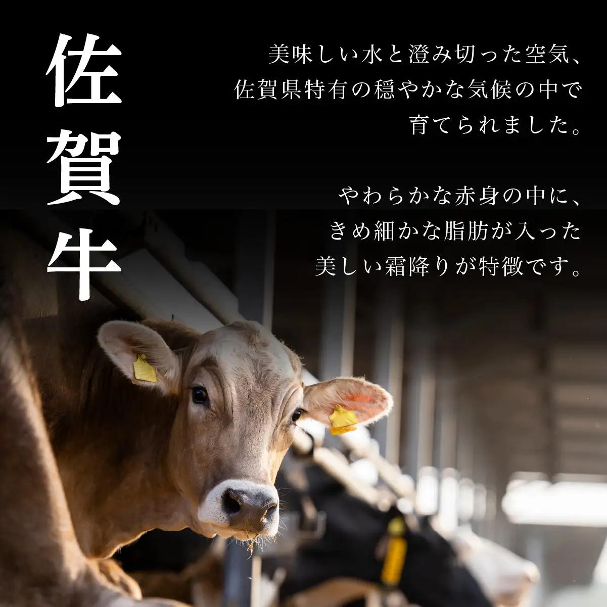 ＜定期便3回＞佐賀牛 ロース・カルビ 計1.5kg (500g×3回)