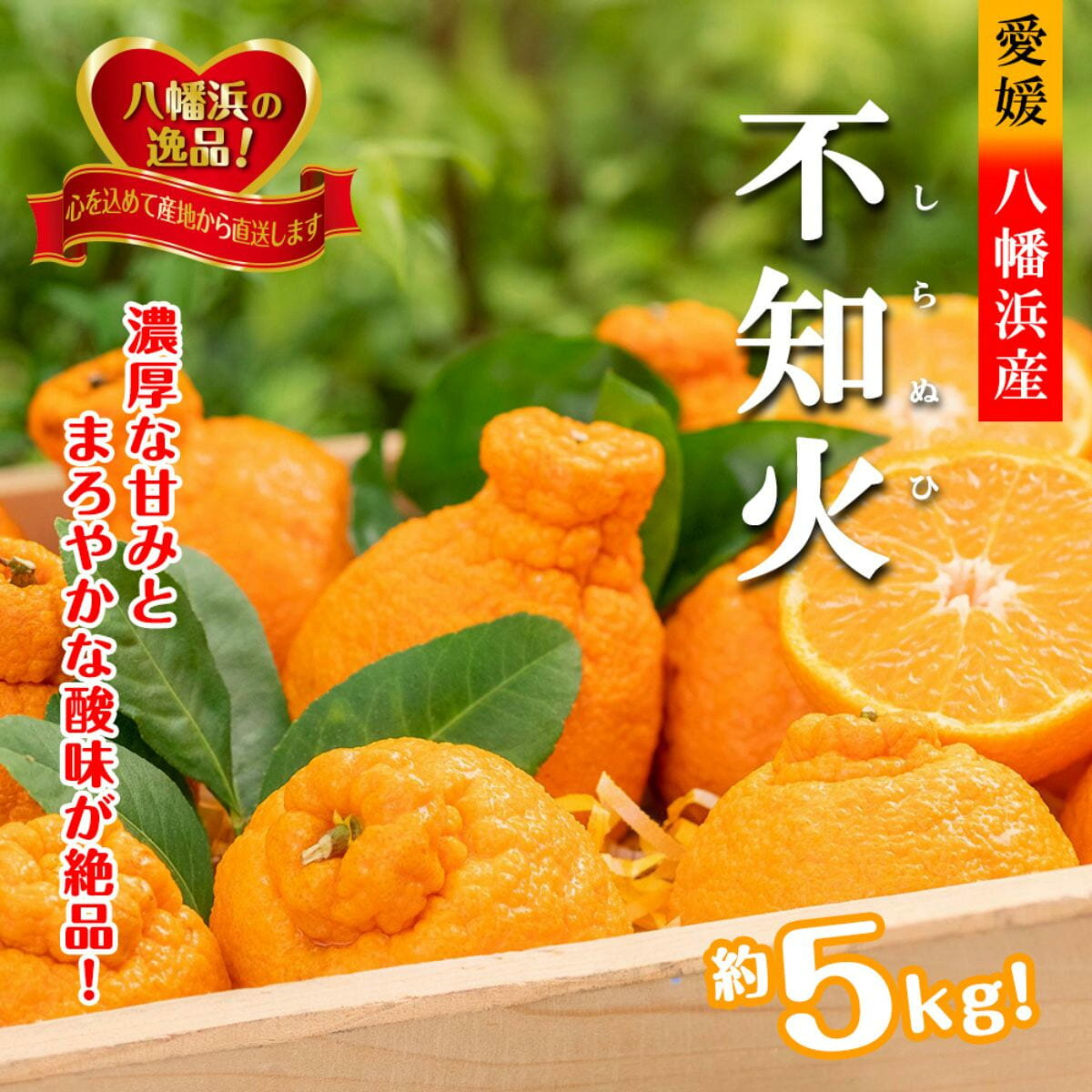 【ふるさと納税】2027年2月〜順次出荷　甘さと酸味の絶妙なバランス!はじける果肉「不知火」約5キロ【D39-73】_【配送不可地域：離島】【1620478】YWTF048