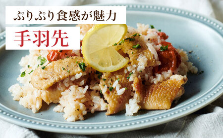 【6回定期便】赤鶏の手羽先 2kg【日本一鶏肉研究所 株式会社 】 鶏肉 赤鶏 手羽先 とり肉 鳥肉  [ZCU089]