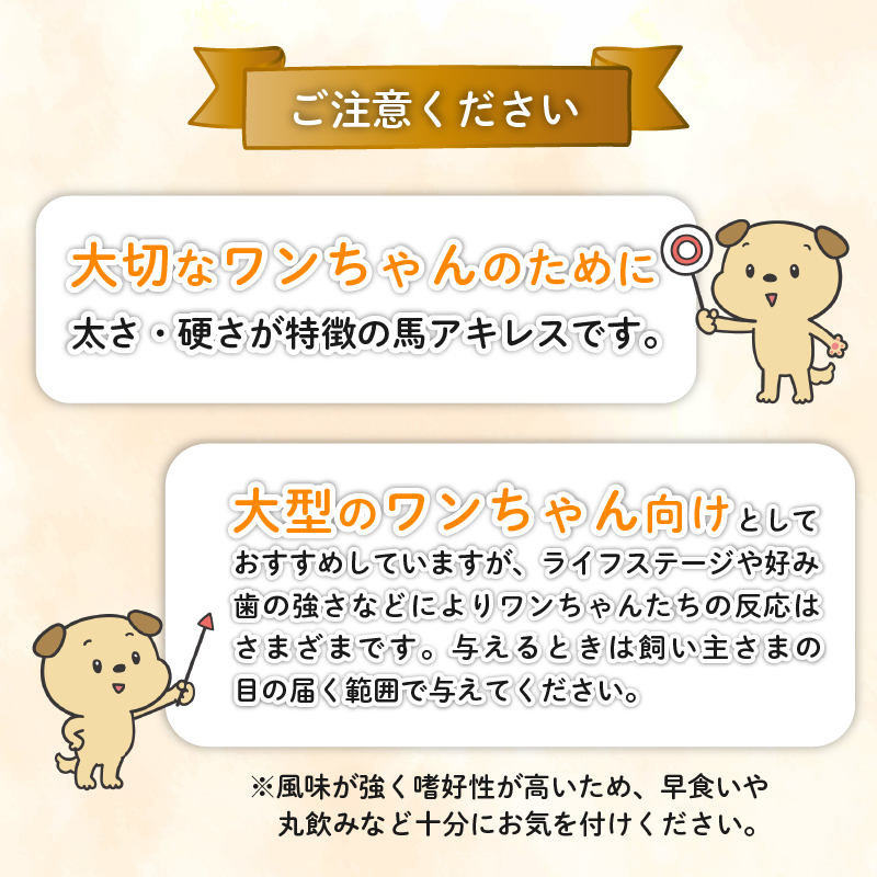 ドッグフード 馬アキレスロング 500g×1袋【 馬 ドックフード アキレス ロング ペット おやつ ペット用品 犬用 無添加 無着色 安心 安全 自然食品 KT009 】