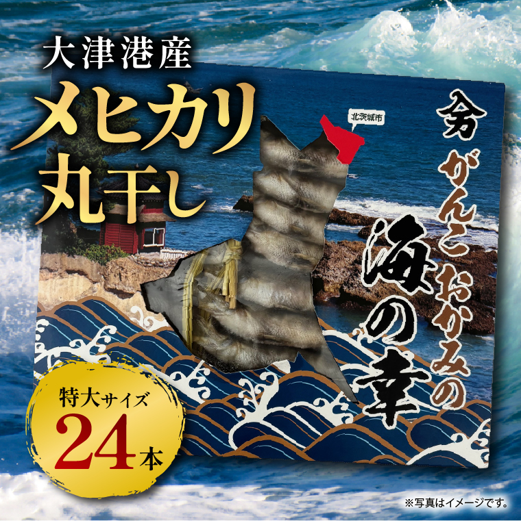丸干し特大めひかり　24本（約650ｇ前後 ）【めひかり メヒカリ 特大 魚 海産物 茨城県 北茨城市 冷凍】（DM003）