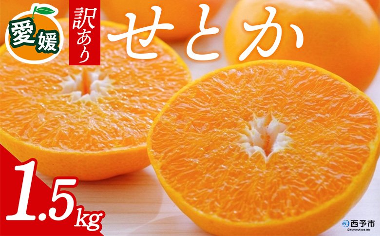 先行予約＜訳あり 愛媛県産せとか 合計約1.5kg＞ 『2027年2月以降順次出荷予定』ミヤモトオレンジガーデン 愛媛県 西予市