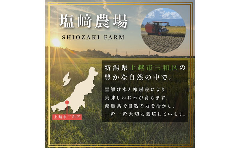 先行予約【10月より順次出荷】令和8年産 新潟県 上越市産 にじのきらめき 10kg（5kg×2袋） 白米 精米 送料無料 虹のきらめき 塩崎農場