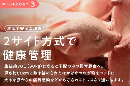 まる姫ポーク 無添加 生ソーセージセット｜ソーセージ 豚ソーセージ 国産 ウインナー 野菜 子供 無添加 BBQ 冷凍 AK-5