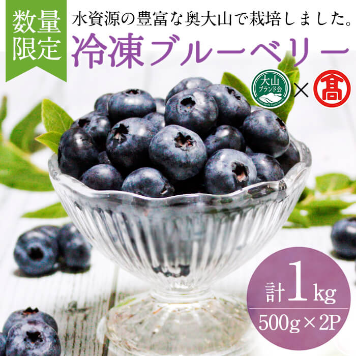 【ふるさと納税】＜数量限定＞冷凍ブルーベリー(500g×2P・計1kg) 鳥取県 ブルーベリー 果物 くだもの フルーツ 冷凍 大山【T-BI4】【大山ブランド会】