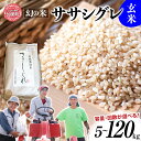 【ふるさと納税】新米 米 定期便 玄米 希少 品種 令和6年 宮城県産 ササシグレ 栽培期間中農薬 肥料 不使用 玄米 5kg 10kg 単品 3ヶ月 6ヶ月 12ヶ月 定期便 も 選べる [ 宮城県 加美町 ] お米 こめ コメ 精米 白米 玄米 ササニシキ