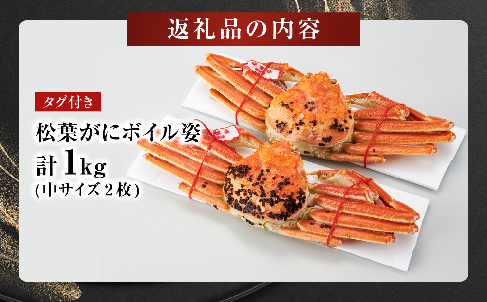 境港産松葉がにボイル姿タグ付き　計1kg（中サイズ2枚）