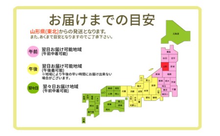 山形県産 秀品 ラ・フランス 3kg なし ナシ 梨 デザート フルーツ 果物 くだもの 果実 食品 山形県 FSY-0454