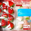 【ふるさと納税】【先行予約】赤白いちご「いちごさん」＆「パールホワイト」セット各220g 【かわさきいちご】イチゴ 白イチゴ 苺 果物 フルーツ 佐賀県産 [IBG002]