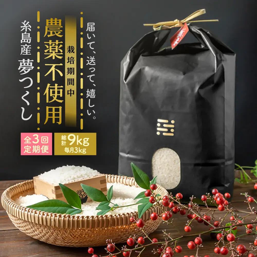【全3回定期便】農薬を使わずに育てた 山つき 3kg 夢つくし 吉富町/(株)やました[BGBX010]