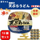 【ふるさと納税】 うどん 217g ×12個 鍋焼きうどん 天ぷらインスタント カップ 生タイプ 徳島製粉 金ちゃん ぶっかけ 本格 ガス IH 対応