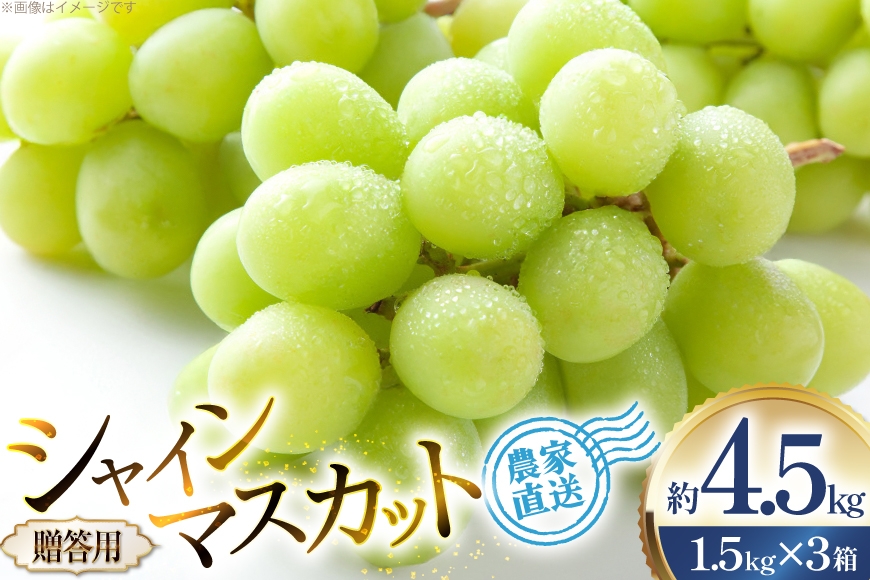 
                  【期間限定発送】 ぶどう 贈答用 シャインマスカット 約1.5kg 3箱 計4.5kg [治右衛門果樹園 山形県 高畠町 tk06ays830026]  ブドウ 葡萄 フルーツ 果物 くだもの デザート 甘い シャイン マスカット 産地直送 農家直送 期間限定
                