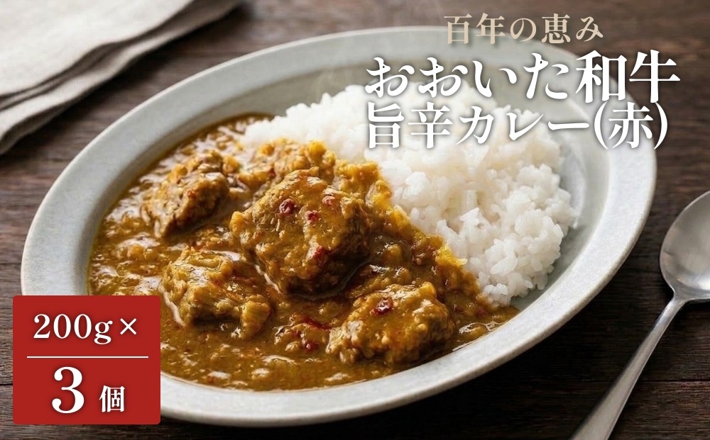 
                  百年の恵み おおいた和牛旨辛カレー(赤) 3個セット
                