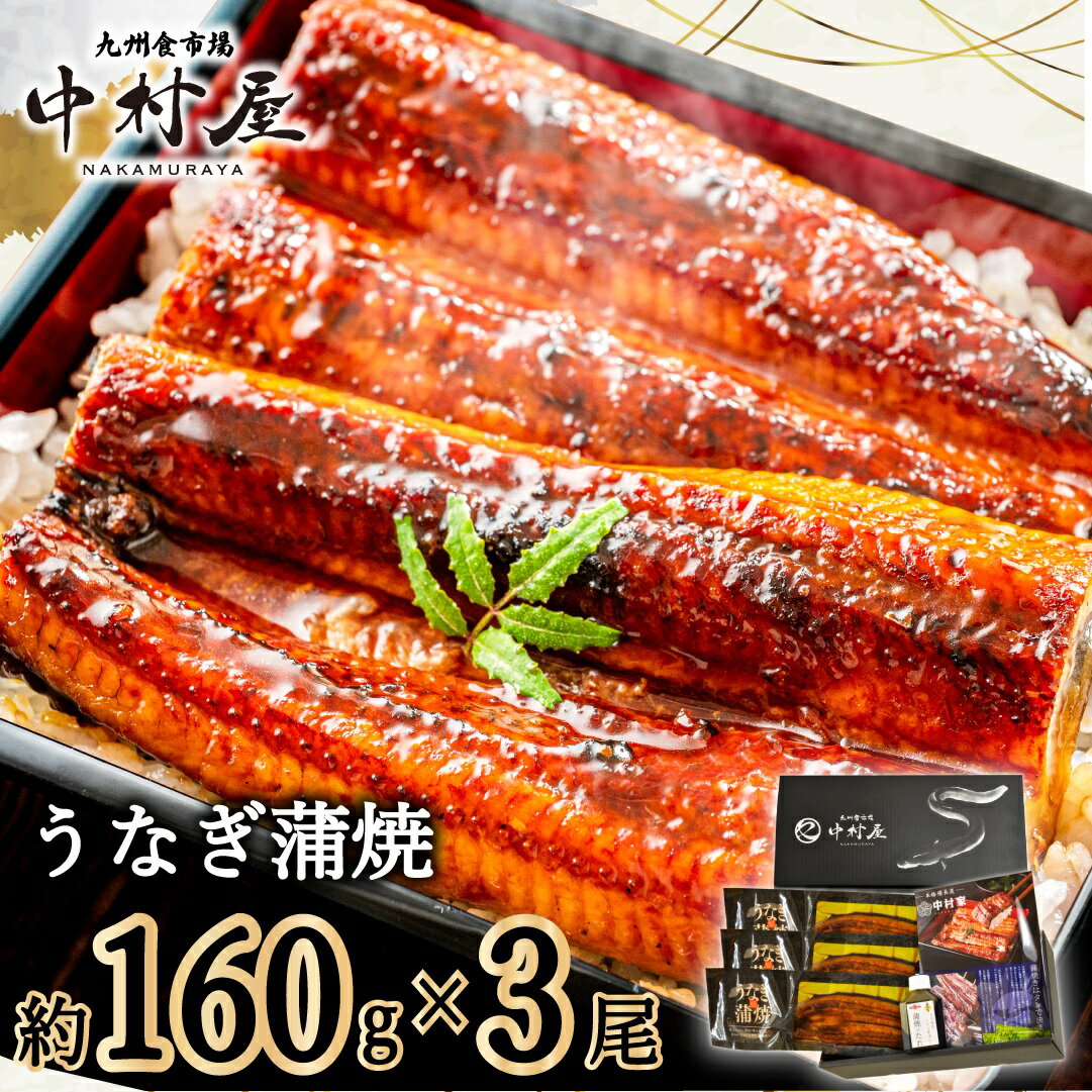 【ふるさと納税】伝統酵母　うなぎの蒲焼　　千栗　国産160g×3(FM063)