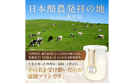 酪農発祥の里から嶺岡プリン詰合せ（プレーン２個・房州びわジュレ２個・いちごジュレ２個） mi0010-0016-5 プリン