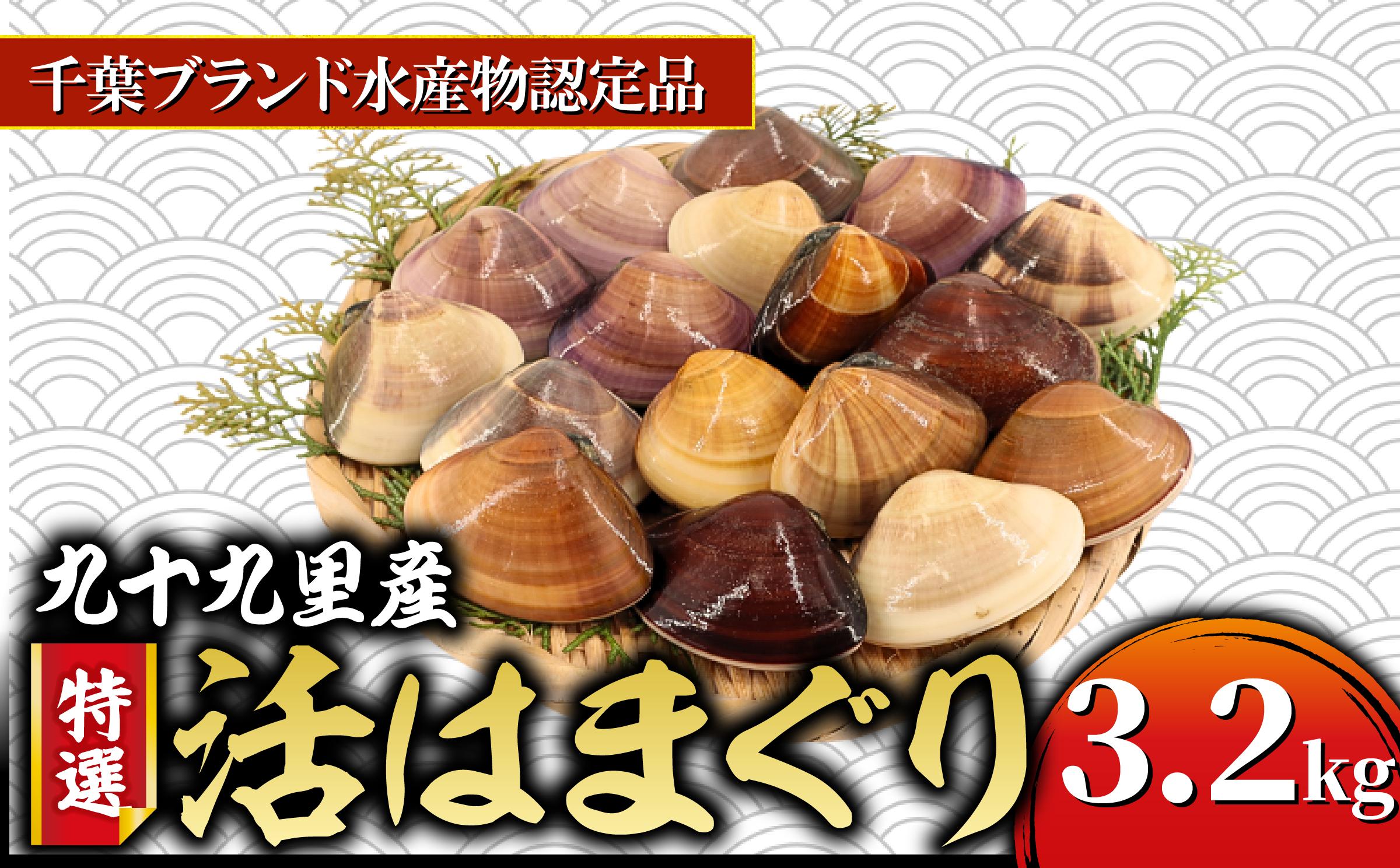
            九十九里産 活け はまぐり 約3.2kg/34～44個 ≪千葉ブランド水産物認定品≫ 天然 蛤 ハマグリ 活 冷蔵 魚介 魚貝 海鮮  貝  出汁 だし 味噌汁 酒蒸し グラタン 九十九里浜 お祝い 祝い ひなまつり 節句 おせち 贅沢 人気 おすすめ 贈答 ギフト お取り寄せ 送料無料 ふるさと納税  不動丸 千葉県 旭市 fdm001
          