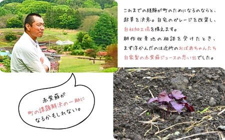【先行予約】【2026年9月から順次発送】 濃縮 赤紫蘇シロップ ６倍希釈 500ml×１本 | 紫蘇シロップ 馨工房 