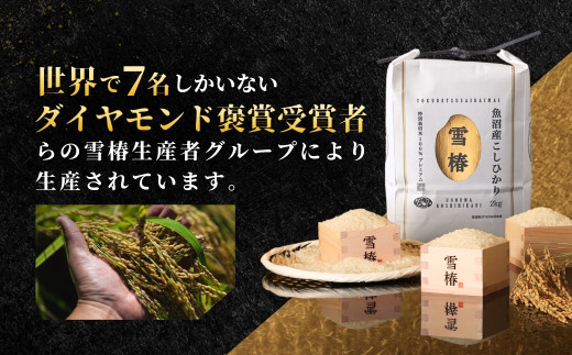 【2025年産新米】【12ヶ月定期便】最高級魚沼産コシヒカリ「雪椿」5kg (5kg×1袋)  特別栽培米