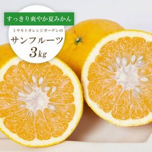 【2026年3月以降発送】さっぱりみずみずしい サンフルーツ(甘夏)3kg【C25-213】【1612610】