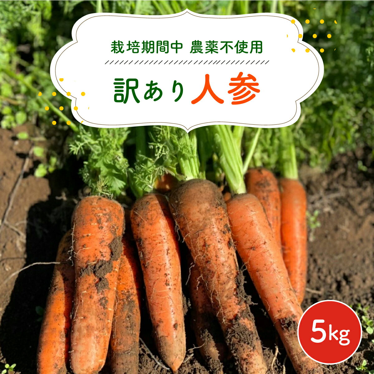 【ふるさと納税】【12月～2月発送】【栽培期間中農薬不使用】訳あり人参 5kg AIBA FARM　B品 / 野菜 にんじん 人参 ニンジン 特産 甘い 訳あり 不揃い B級 organic フードロス 千葉県 富里市 TML006