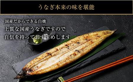 鹿児島県大隅産　千歳鰻の白焼き鰻　5尾