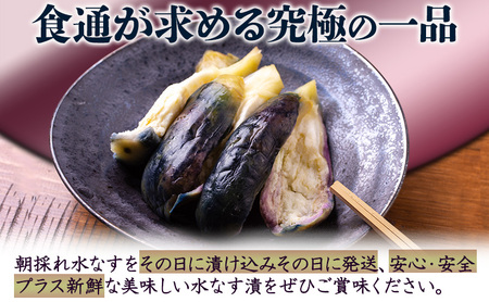水なすぬか漬 生水なす セット (ぬか漬8個・生水なす2個) 計10個入り /大阪 泉州 特産 漬物 ご飯のお供