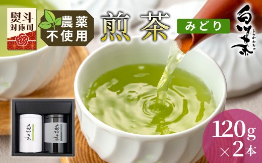 
                  農薬不使用！煎茶 ギフト NO.16 (みどり120g×2 計240g)  常磐園 みどり 日本茶 白川茶 美濃白川茶 緑茶 煎茶 茶葉 お茶 一番茶 春摘み 大容量 岐阜県 東白川村 お取り寄せ 贈答用 プレゼント ギフトセット 進物用 家庭用
                