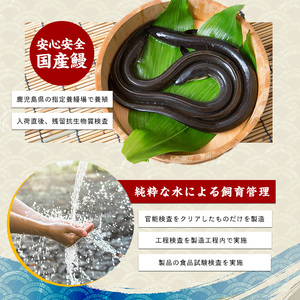 うなぎ 蒲焼 3尾 約495g 鹿児島県産 うなぎ IB021-004