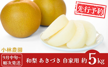 先行予約 和梨 あきづき 自家用 約5kg [9月中旬から発送予定] 令和7年度 新潟県 三条市産 梨 [小林農園]【010P073】