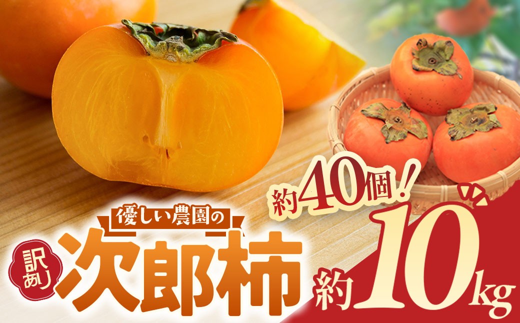 
                  三重県産 優しい農園の訳あり次郎柿 10kg（約40個程度）次郎柿 たねなし柿 種無し柿 ご家庭用 規格外 産地直送 先行予約 かき フルーツ かき 訳アリ わけあり 不揃い ふぞろい ご自宅用 果物 くだもの フルーツ［2026年11月頃～発送］
                