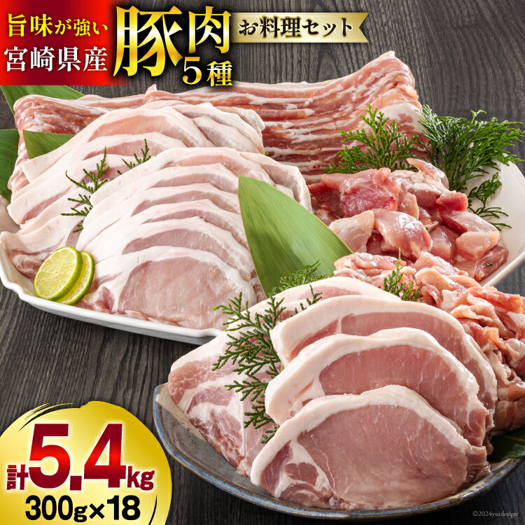 【ふるさと納税】豚肉 小分け 切り落とし ロース 豚バラ スライス お料理セット 計5.4kg [甲斐精肉店 宮崎県 美郷町 31as0046] 肉 冷凍 宮崎県産 豚 ウデ 腕 切落し 詰め合わせ 真空包装 うす切り 薄切り