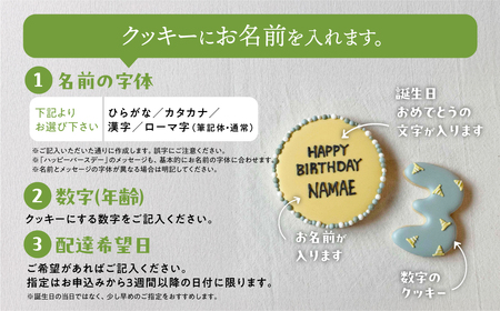 お誕生日用（働く車）アイシングクッキー11枚入り 誕生日 男の子 車 【one sweets】【116-5】