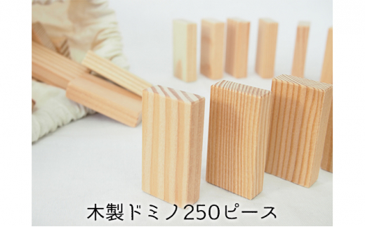 
こだわりの木材でつくる！木製ドミノ　250ピース
