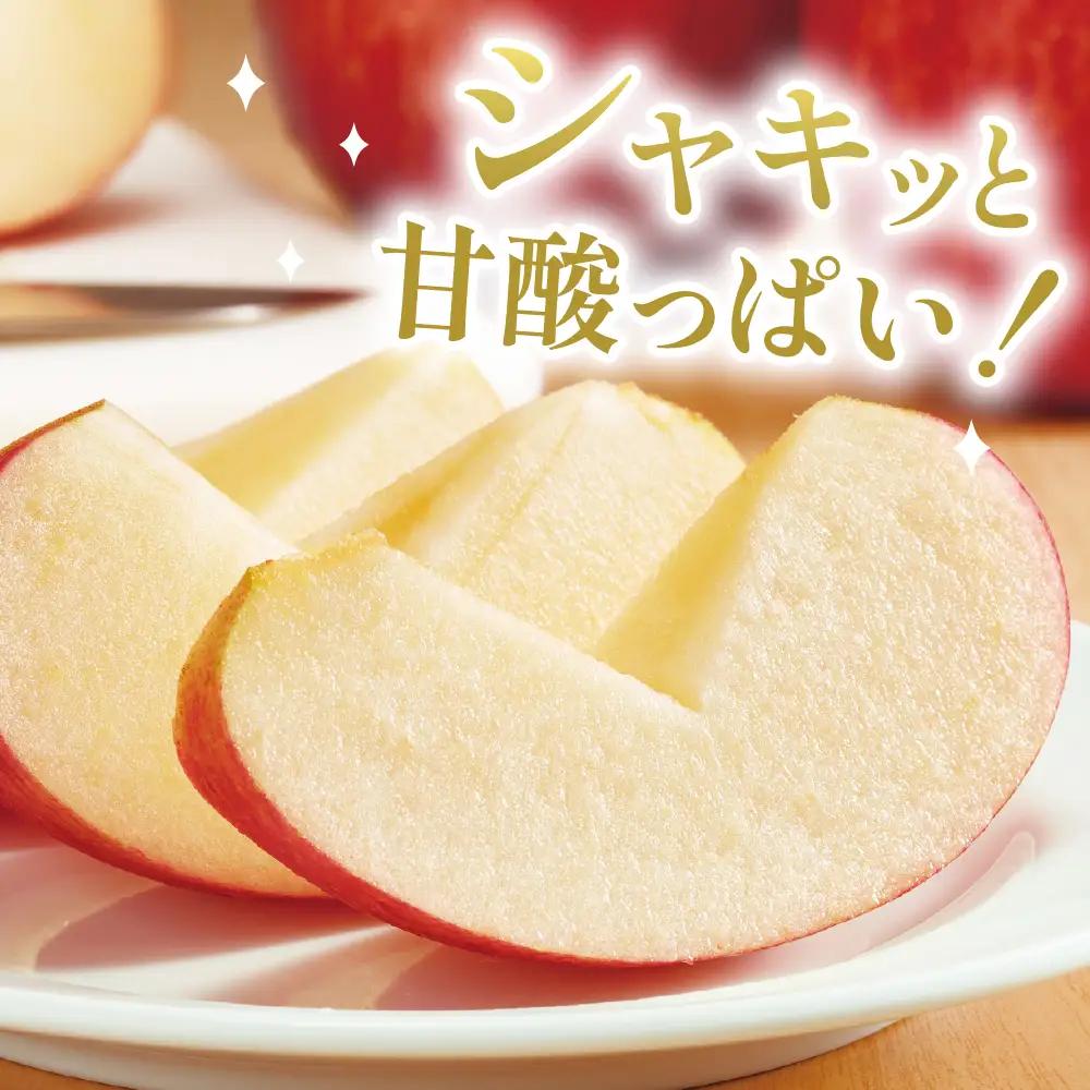 【2026年産】 りんご 「 サンふじ 」 5kg りんご