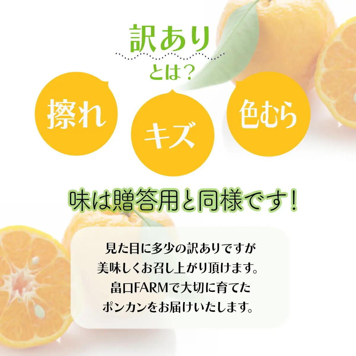 【先行予約】訳ありポンカン ＜10kg＞ サイズ混合