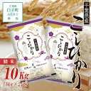 【ふるさと納税】8/26より発送【令和6年産新米】 千葉県産コシヒカリ＜精米＞10kg(5kg×2袋) ふるさと納税 お米 10kg 千葉県産 白子町 コシヒカリ 米 精米 こめ 年越し おせち お餅 送料無料 SHB002