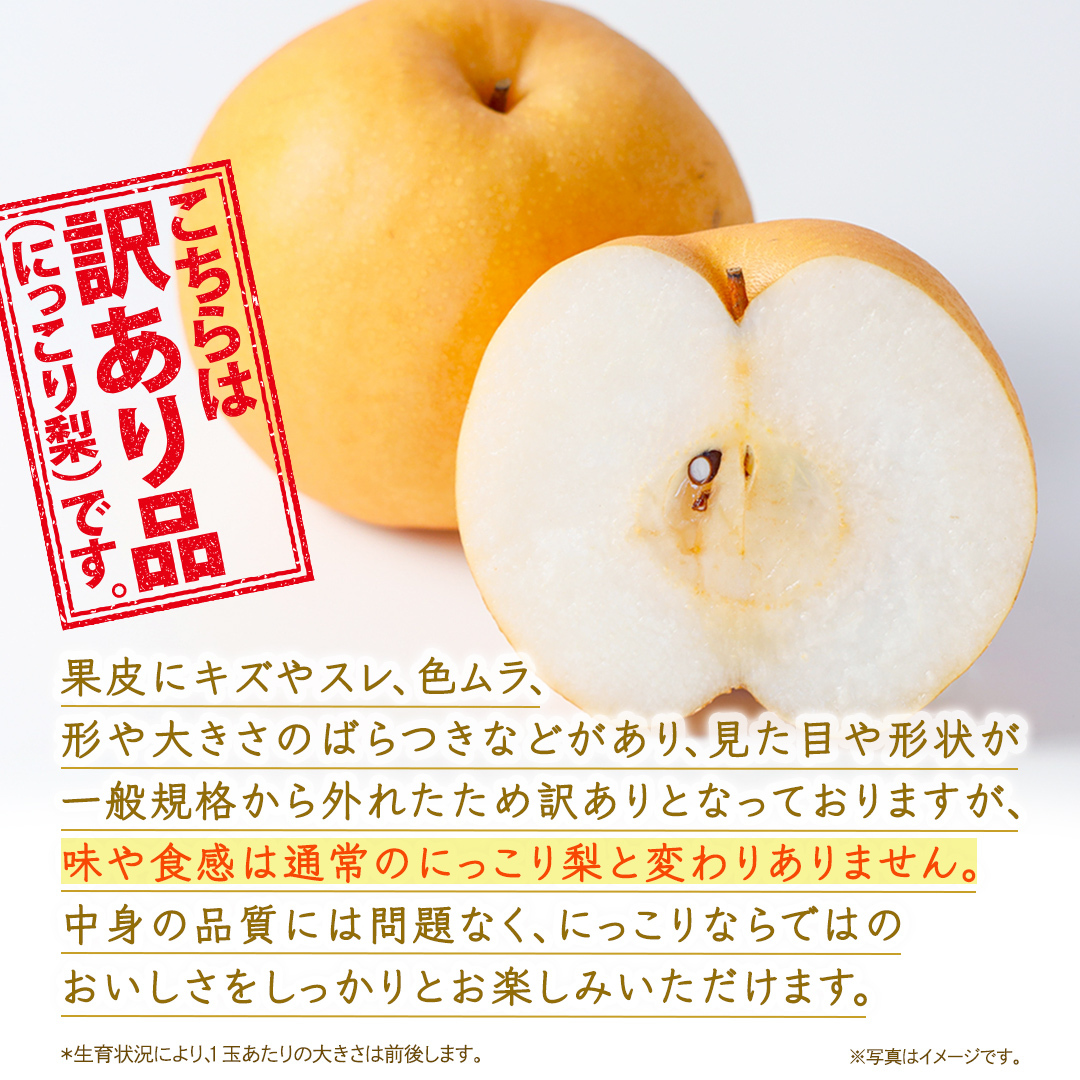 ＜ 訳あり ＞ にっこり 約5kg 【2026年10月より発送開始】（茨城県共通返礼品 [梨]：大子町産） ご家庭用 フルーツ なし ナシ 和梨  梨 わけあり 果実 旬のフルーツ お取り寄せ くだも