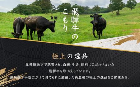 満喫飛騨牛3ヶ月定期便（全3回）牛肉 しゃぶしゃぶ ステーキ 切り落とし 定期便 FC101