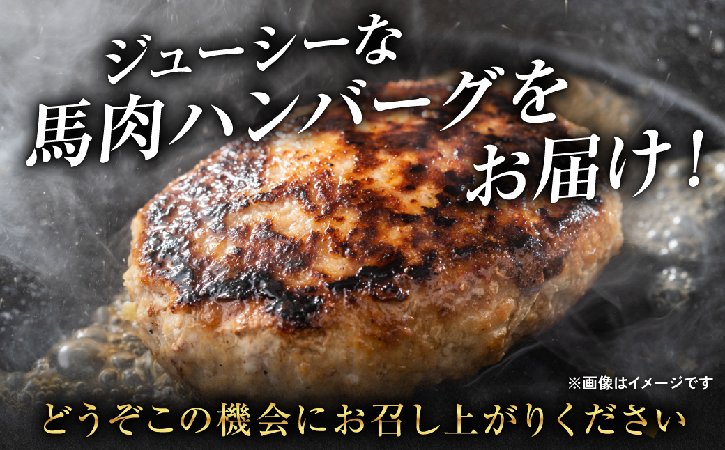 馬肉ハンバーグ 150g×10個 【熊本県産 ジャージー牛乳使用】 ハンバーグ おかず 惣菜 洋食 お肉 肉 にく 馬肉 熊本県 八代市