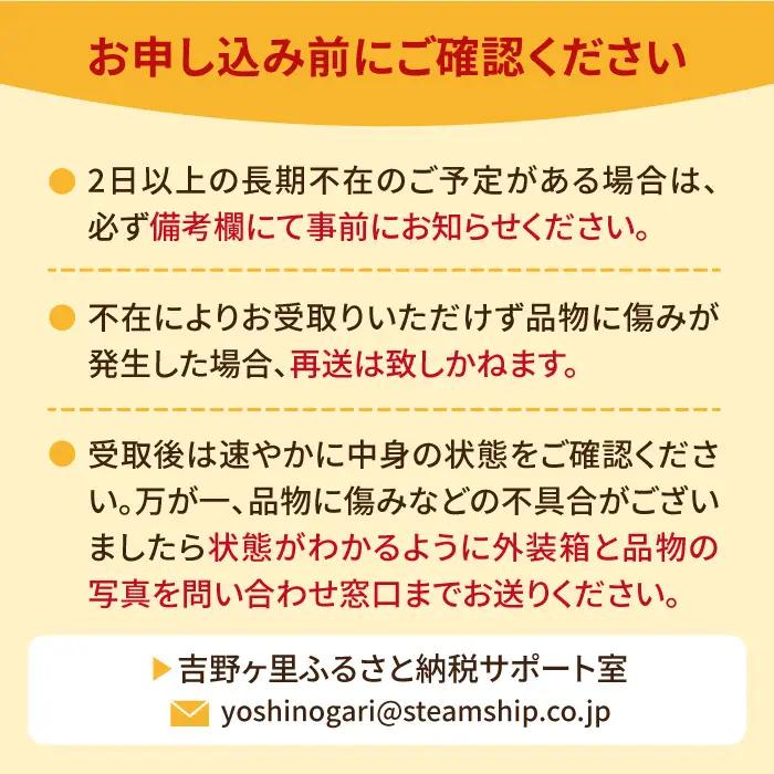 【先行予約・27年1月以降順次発送】さがほのか平パック4P（約1kg） |いちご 佐賀県産 佐賀県 イチゴ パック| 吉野ヶ里町/リエンサーク [FCC002]
