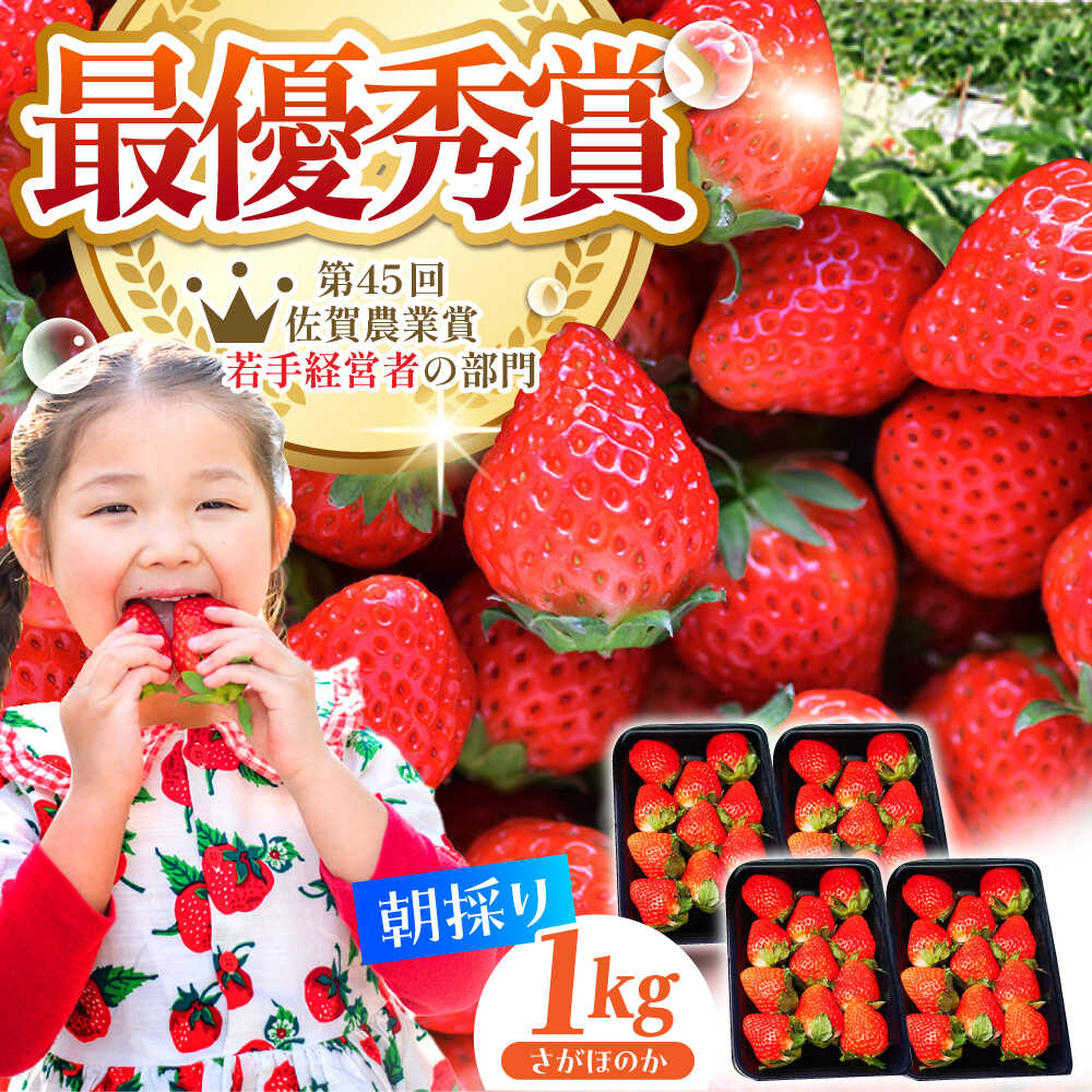 【ふるさと納税】【2〜4月発送】朝摘み いちご さがほのか 1kg（250g×4パック） いちご イチゴ 苺 | 佐賀県 江北町 |【むらおか農園】[HAF024]