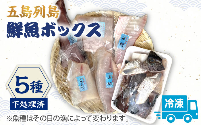 【下処理済】【冷凍】 五島列島 鮮魚ボックス 5種 魚介類 鮮魚 【ShiningFoods】 [RBR002]