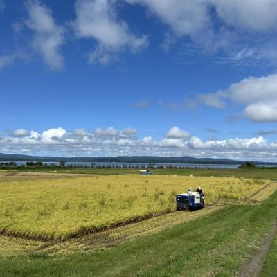 ふるさと納税 七尾市 【令和7年産】石川県能登産こしひかり 玄米10kg(5kg×2袋) |  | 02