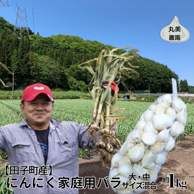 【ふるさと納税】丸美農園 田子町産にんにく家庭用バラ約1kg（大・中サイズ混合）　薬味・野菜・根菜・加工食品・乾物　出荷開始：10月1日〜3月31日