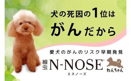 【ふるなび限定】愛犬のがんのリスク早期発見サービス　線虫N-NOSE わんちゃん エヌノーズ 【FN　limited】