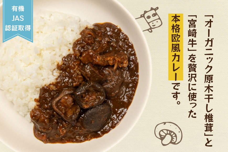 カレー レトルト 山師のおひさま なばカレー 宮崎牛 原木椎茸 使用 180g [HUTTE 宮崎県 美郷町 31ao0025] 常温保存 カレー 欧風カレー 常備食 保存食 防災 備蓄 非常食 防災