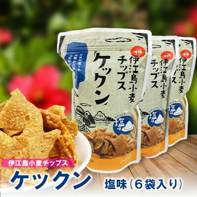 【ふるさと納税】 スナック 伊江島 小麦チップス ケックン 塩 6袋 セット [伊江島物産センター 沖縄県 伊江村 ie47bde210027] スナック菓子 お菓子 チップス おやつ おつまみ いえじま家族 ケックン ケックンチップス