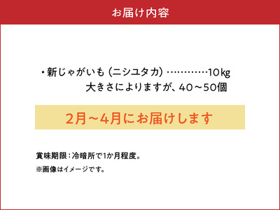 【 2025年 先行予約 】新じゃがいも ニシユタカ 10kg 4月お届け C056-005-03 じゃがいも 新じゃが いも 芋 ニシユタカ ポテト 野菜 ミネラル豊富 料理 調理 先行受付 先行 