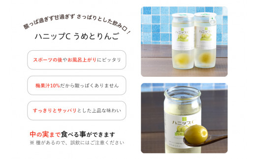 果実入り清涼飲料水 ハニップＣ 2種類セット（30本） / ドリンク 飲料 ジュース 梅 うめ りんご【prm001B】